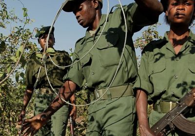 Supporting Conservation